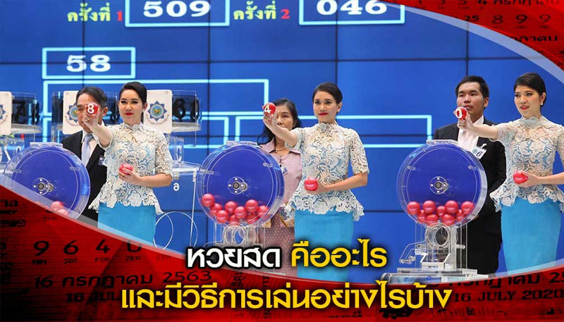  หวยสด net