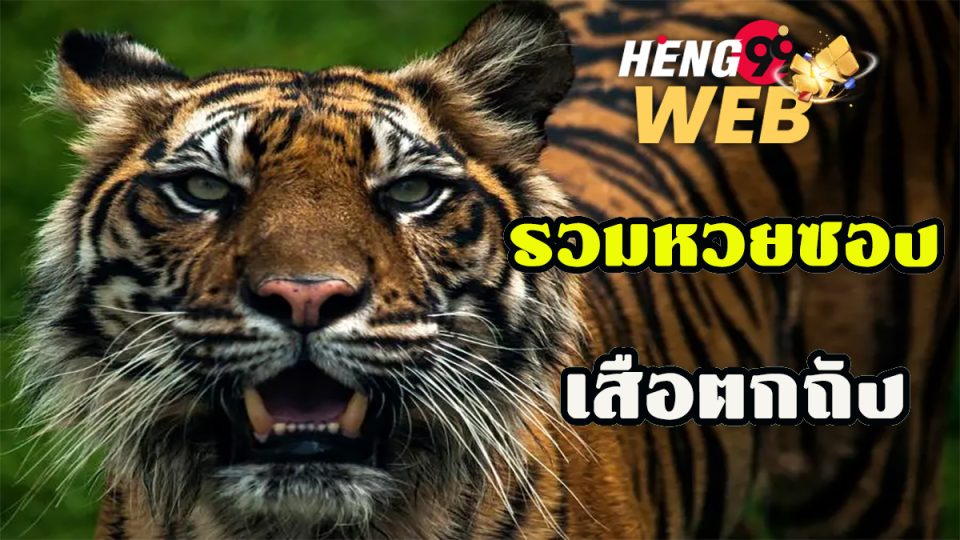 เลขเด็ดเสือตกถังพลังเงินดี คือ -heng99web.com