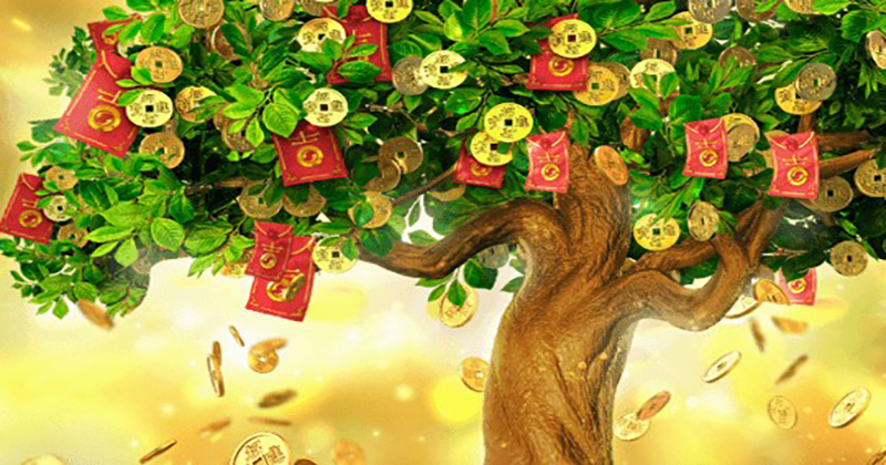 Money Tree 