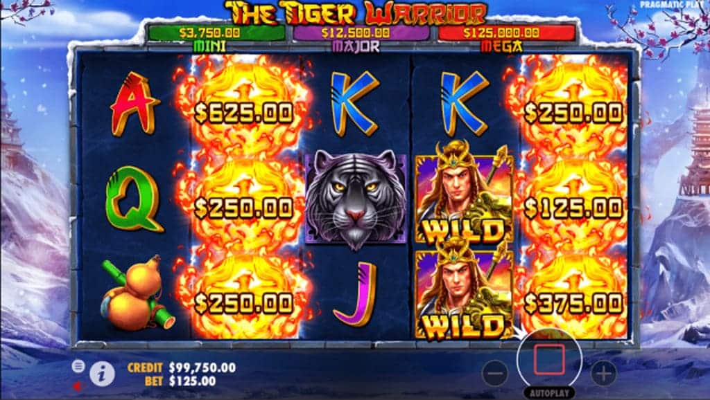 The Tiger Warrior เกมใหม่มาแรง-"The Tiger Warrior, a hot new game"