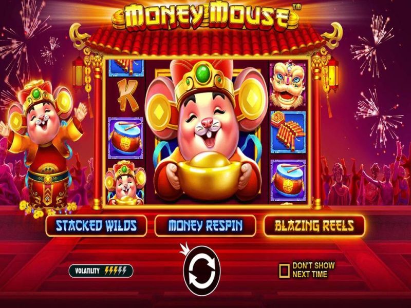 money mouse fighter