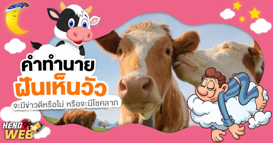 ทำนายฝัน ฝันเห็นวัว -"Dream interpretation Dreaming of a cow"