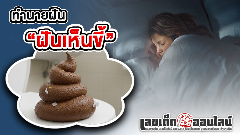 รูปภาพทำนายฝันฝันเห็นขี้เต็มไปหมดของ lekdedonline