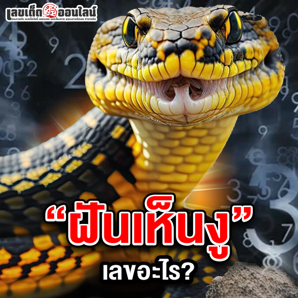 รูปภาพฝันเห็นงูตีเลขอะไรของ lekdedonline