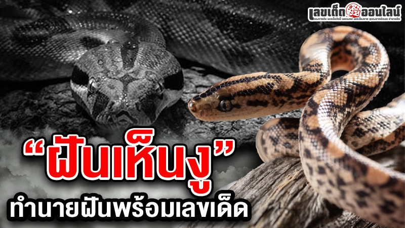 รูปภาพทำนายฝันเห็นงูพร้อมเลขเด็ดของ lekdedonline