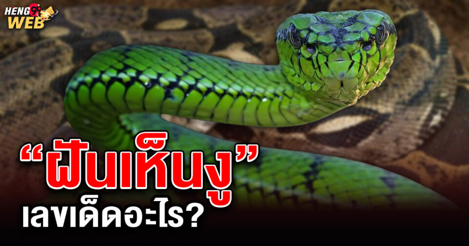 ฝันเห็นงูเลขอะไร -"What number do you dream of seeing a snake"